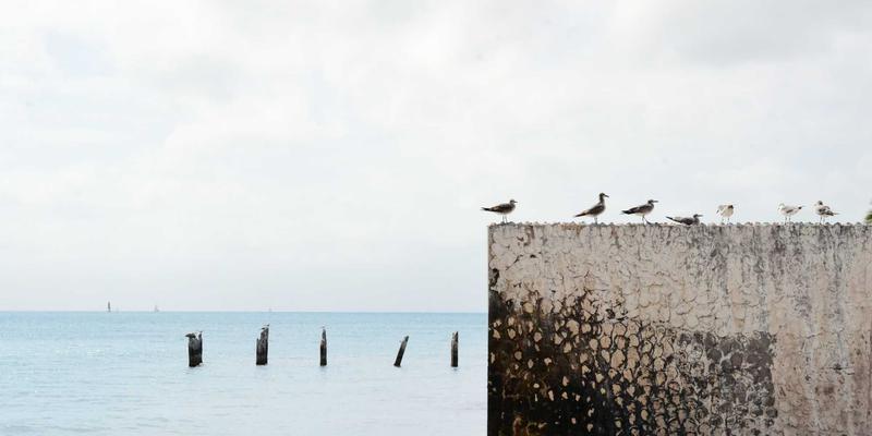 Cooling Fan 42：静音风扇如何革新通风与散热方案