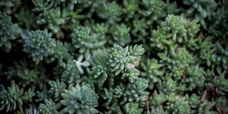 Cooling Fan 63：工业通风系统的核心动力与离心风机选型指南