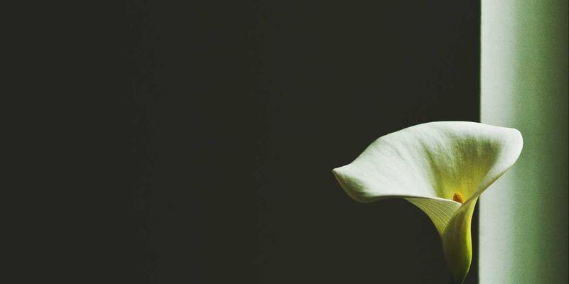 Cooling Fan 78：轴向风扇在现代散热与通风系统中的核心应用