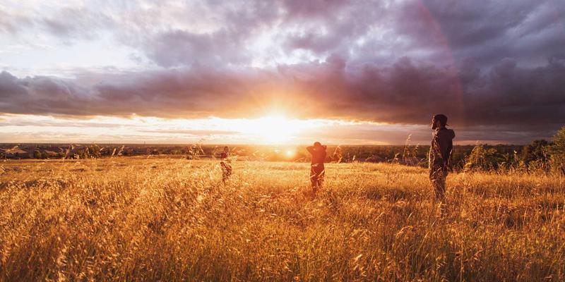 冷却风扇入门指南：离心式、轴流式与静音风扇的全面解析