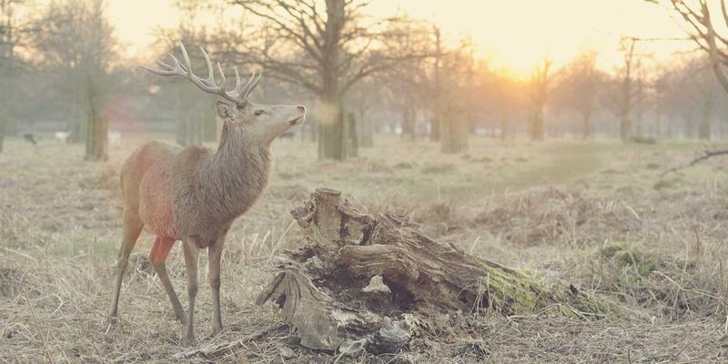 工业冷却风扇全解析:离心风机与静音风扇如何提升设备效能