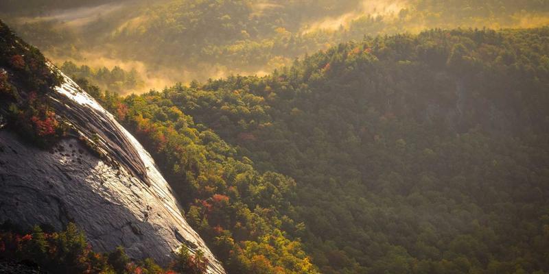 离心风机:工业通风与冷却系统的核心动力